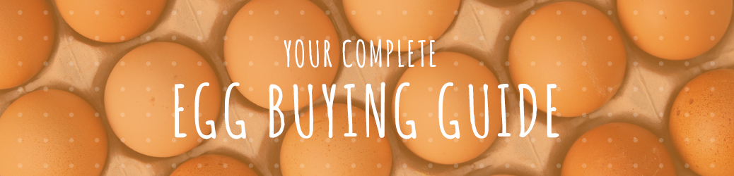 Your Complete Guide to Buying Eggs