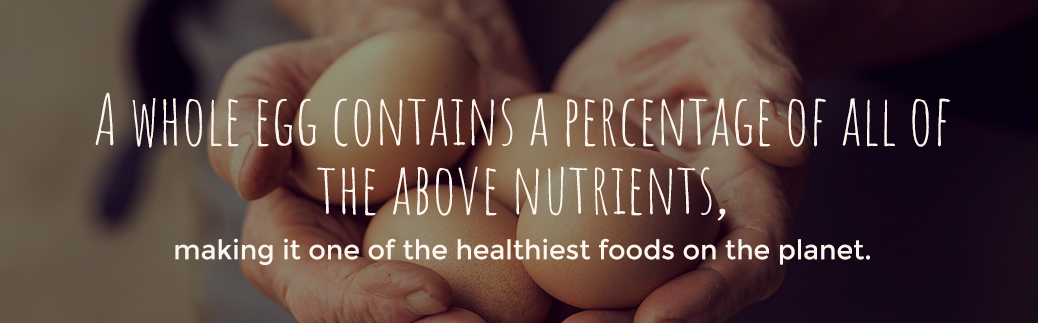 A Whole Egg Contains Nutrients to Make it One of the Healthiest Food