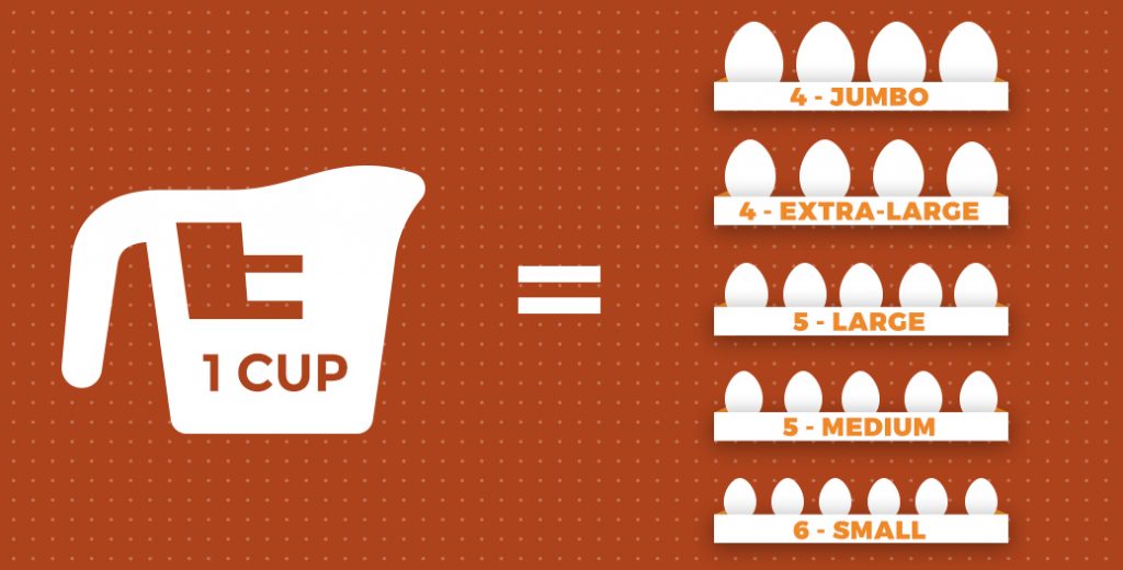 Different Sizes of Eggs A Guide Sauder's Eggs