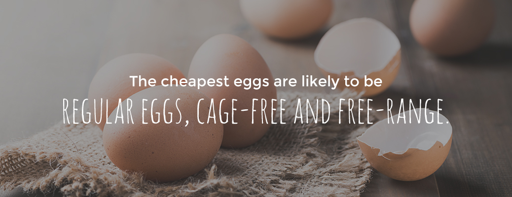 Regular, Cage-Free, and Free-Range are the Cheapest Eggs