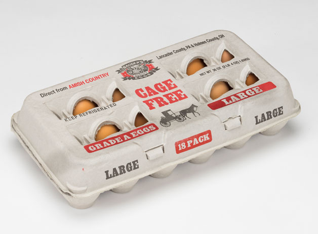 Carton of Sauder's Cage-Free Brown Large Eggs