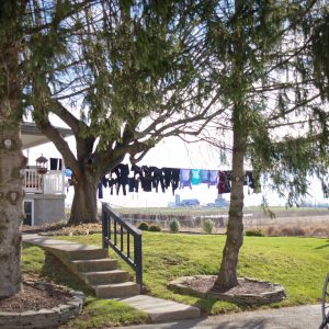 Omar Fisher Sauder S Eggs omar fisher sauder s eggs