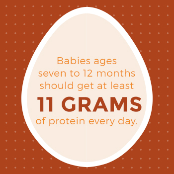 Babies from 7-12 Months Need 11 Grams of Protein Daily