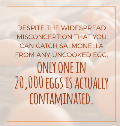 Only 1 in 20,000 Eggs contains Signs of Salmonella