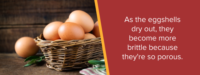 As the eggshells dry out, they become more brittle because they're so porous