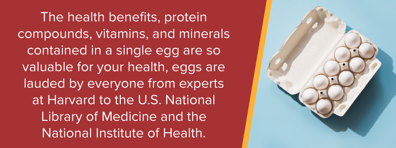 health benefits of an egg