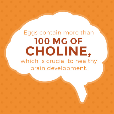 eggs contain more than 100 mg of choline, which is crucial to healthy brain development