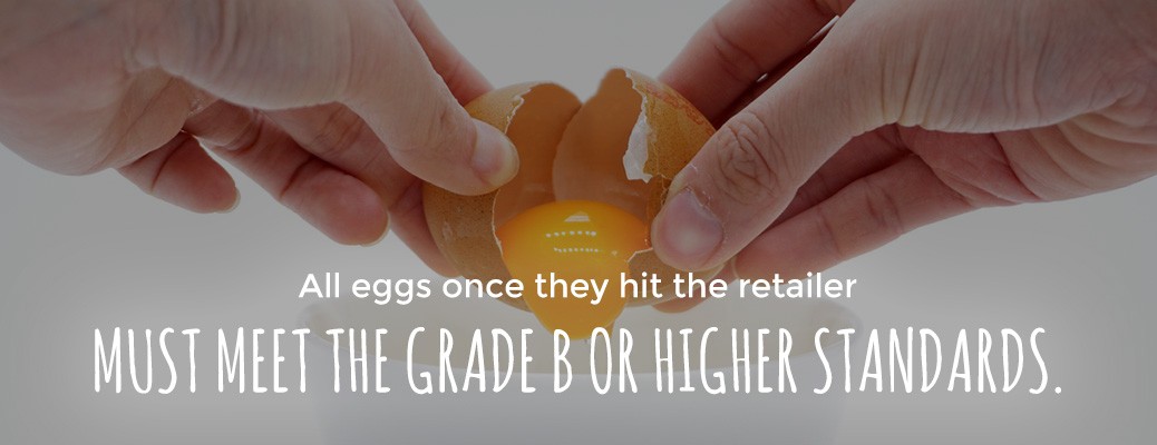 all eggs in stores are grade b or higher