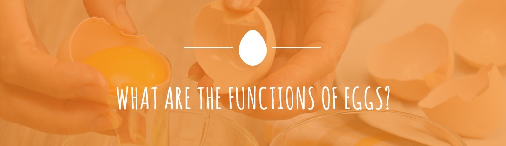 the functions of eggs