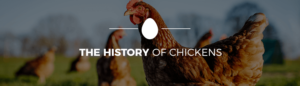 I. Introduction to Historical Agriculture and Hens