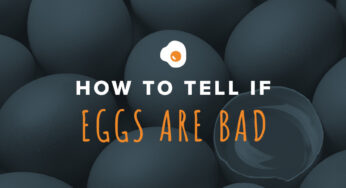 Egg Size and Weight – An international guide with egg size comparison chart